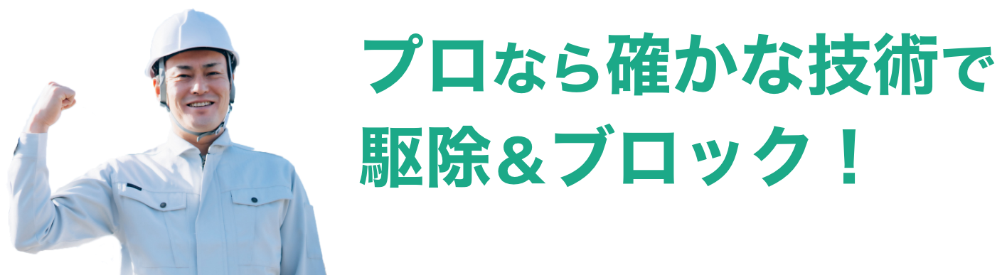 プロなら確かな技術で駆除＆ブロック